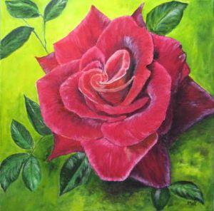 Voir le détail de cette oeuvre: Rose rouge de mon jardin